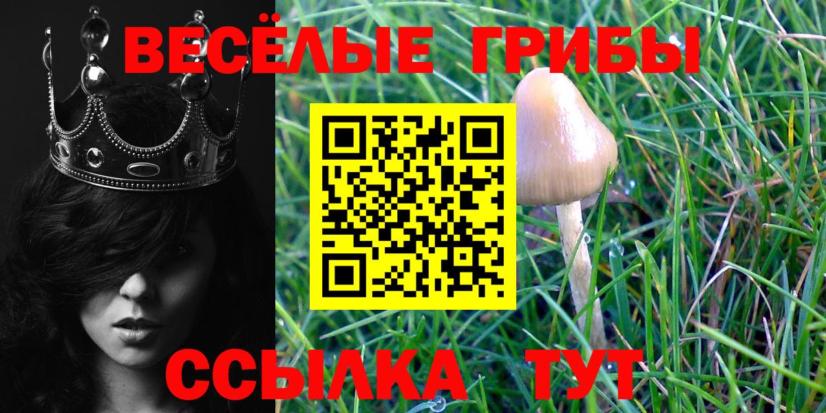 Галлюциногенные грибы Cubensis  Вход с VPN  купить  сайты  Химки 